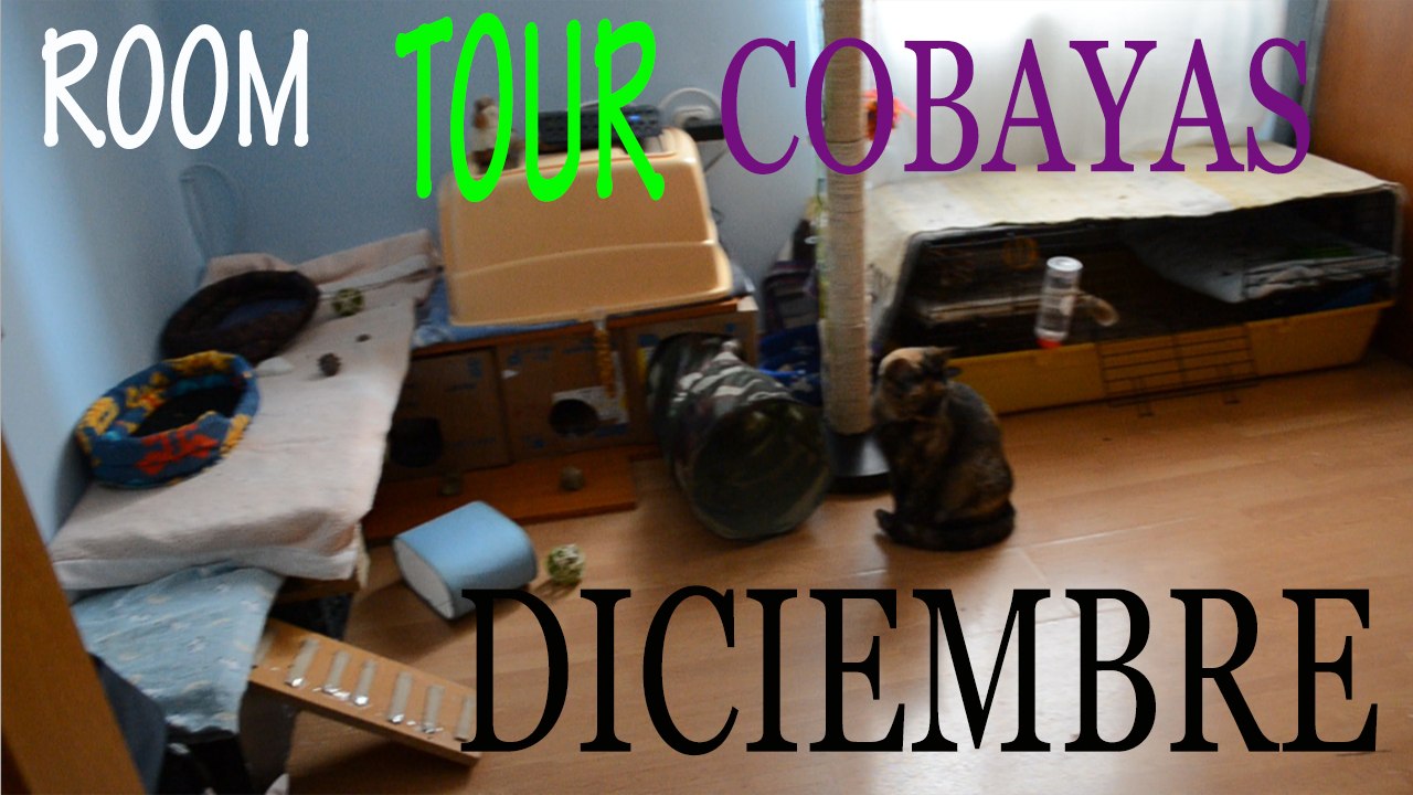 ROOM TOUR COBAYAS DICIEMBRE 2014 / CAMBIOS Y NOVEDADES EN LA HABITACIÓN DE LAS COBAYAS
