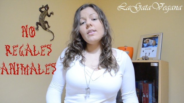 NO REGALES ANIMALES EN NAVIDAD / LOS ANIMALES NO SON JUGUETES, NO LOS TRATES COMO OBJETOS