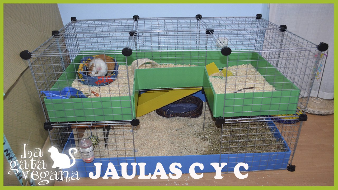 CÓMO HACER UNA JAULA C Y C PARA COBAYAS, CONEJOS , CHINCHILLAS, (CUYOS,COBAYO, CUY)| C&C CAGE