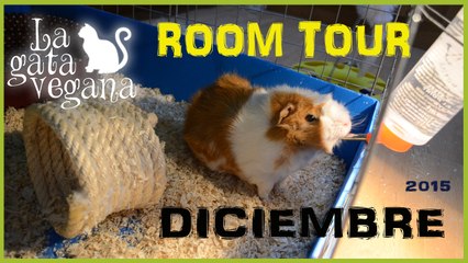 ROOM TOUR CASA DE MI COBAYA HIDEKI  DICIEMBRE 2015 | TENEMOS NUEVA JAULA