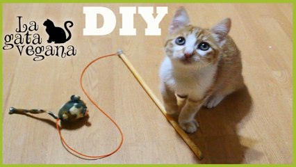 CAÑA PARA JUGAR CON GATOS CASERA | HAZLO TÚ MISMO | JUGUETE FÁCIL PARA ENTRETENER Y EJERCITARLES