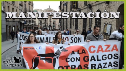 MANIFESTACIÓN POR LA DIGNIDAD ANIMAL EN TOLEDO 28-2-16 | PIDIENDO DERECHOS PARA TODOS LOS ANIMALES