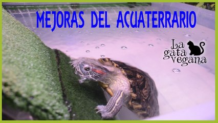 MEJORANDO EL ACUATERRARIO DE LAS TORTUGAS | NUEVO RECIPIENTE Y CUEVA | ACUATERRARIO CASERO