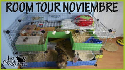 ROOM TOUR CASA DE MIS COBAYAS NOVIEMBRE 2016 | PISO NOVEDAD | ¿MISAKI TIENE UN EMBARAZO PSICOLÓGICO?