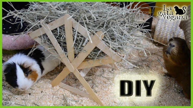 DIY PESEBRE HENERA PARA COBAYAS, CONEJOS Y CHINCHILLAS | HAZLO TÚ MISMO | MANUALIDADES PARA ANIMALES