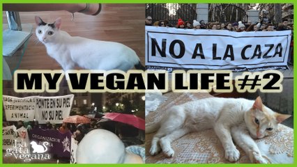 MY VEGAN LIFE #2 DOS MANIFESTACIONES + PRESENTACIÓN MÉTODO CES DHA + NORA Y AURON EN SU NUEVO HOGAR