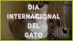 DÍA INTERNACIONAL DEL GATO 2016 EN ALBACETE | ACTIVIDADES PARA NIÑOS Y MESAS INFORMATIVAS