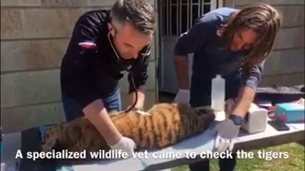Regardez ce qui se trouvait dans cette boite abandonnée depuis 7 jours dans un aéroport