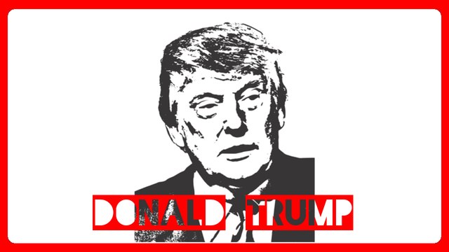 Donald Trump, ein Porträt des 45. US Präsidenten - Mfiles 012