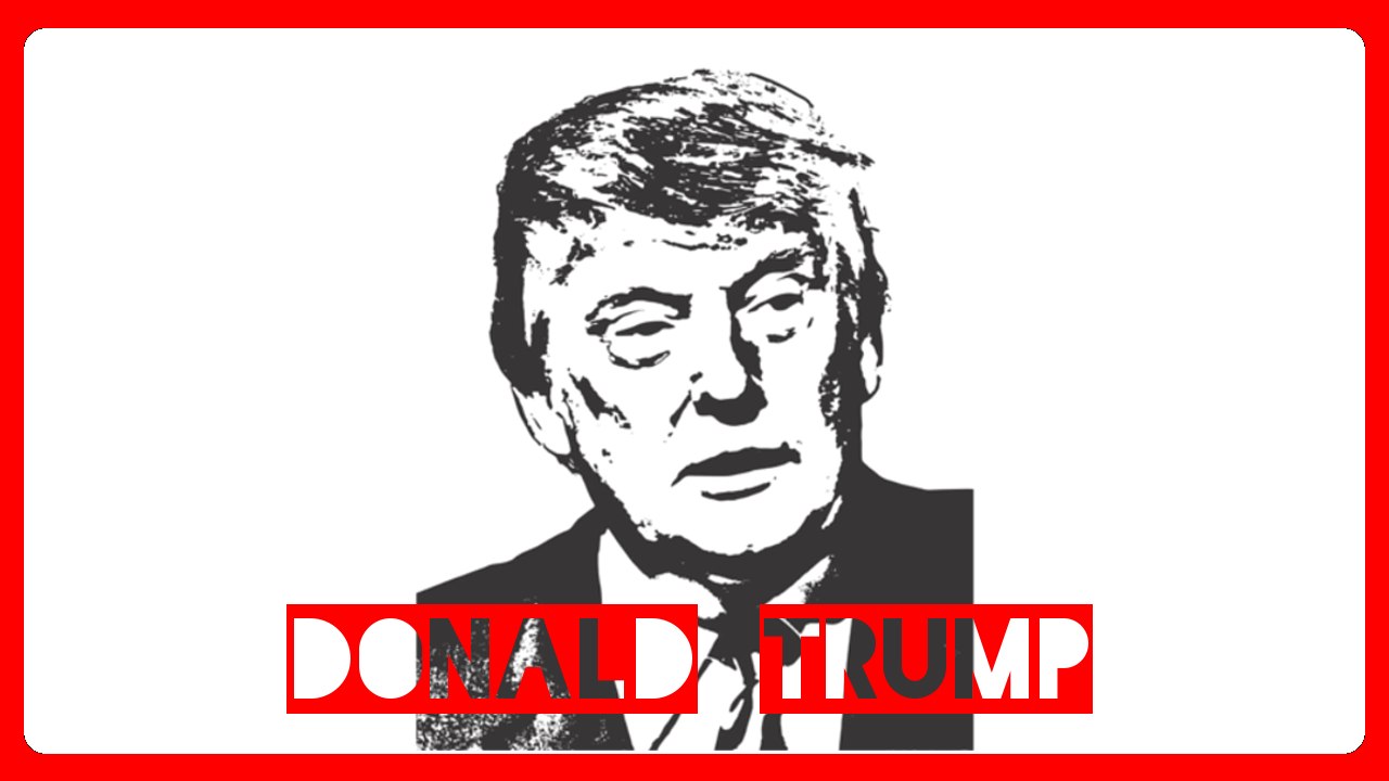 Donald  Trump, ein Porträt des 45. US Präsidenten - Mfiles 012