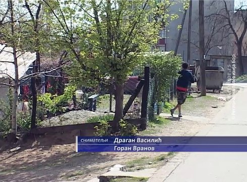 Svetski dan Roma osmi april, 8. april 2017 (RTV Bor)