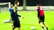 Zlatan Ibrahimovic - Amazing Goal For Sweden In Training