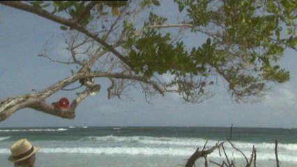 Bernard Lavilliers - Bosse