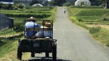 長い雨の後に
