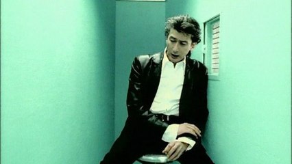 Alain Bashung - Ma Petite Entreprise