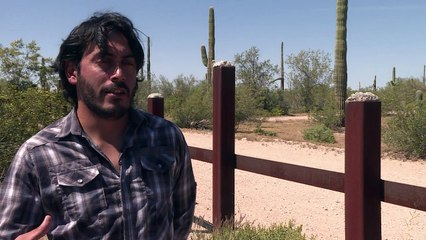 El jaguar o el berrendo, las otras víctimas del muro de Trump