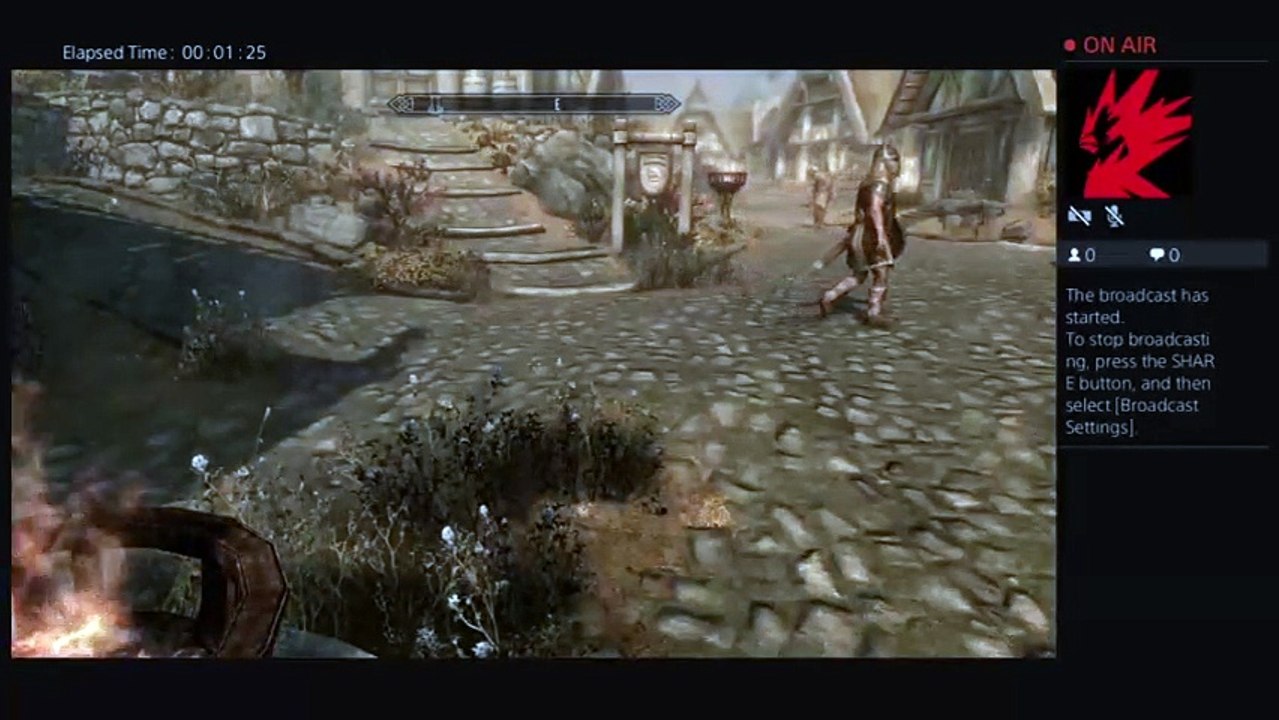 Skyrim (85)