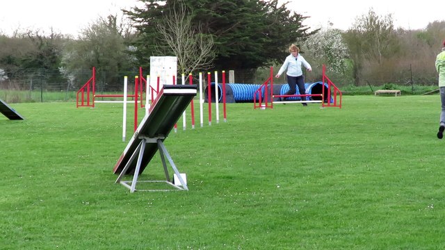 Pass Agility Lakota 1er avril 2017 épreuve agillity 1