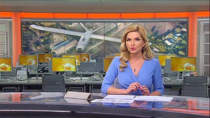 Лелеки на озброєнні ЗСУ. Як пташка виявила скупчення ворожої техніки