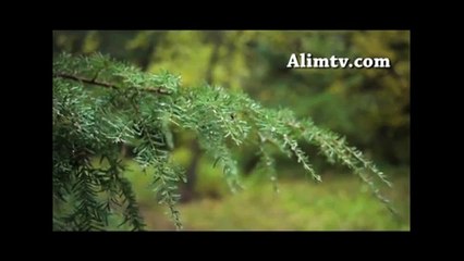 Adabı muaşeret - M. Zeki Ceylan