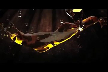 EPILOCUE Toilet Seat Sanitizing Spray