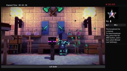 Minecraft Story Mode EPISODE 1 (31)