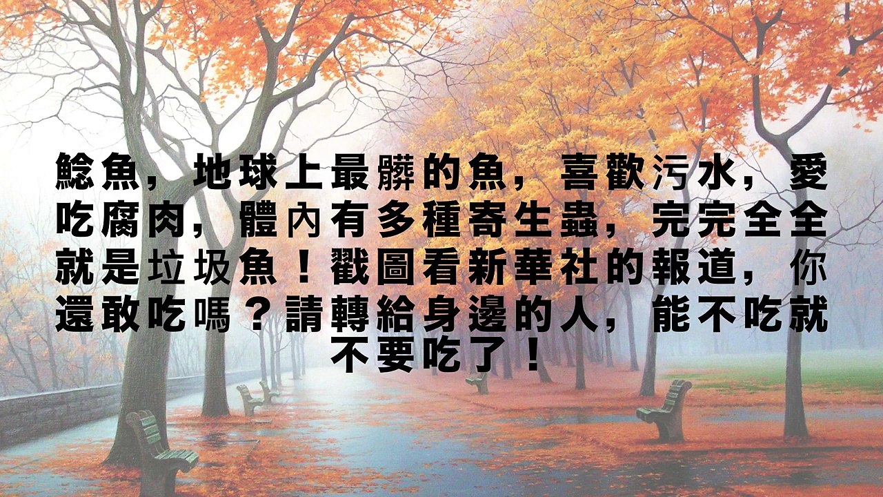 它世界上「最髒的魚」！吃一口等於「3000個癌細胞」進肚內！