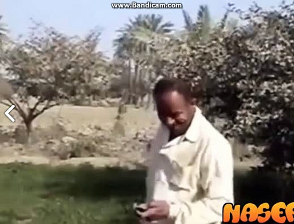 mad man dance