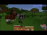 Cari Oceloot~ | Minecraft 