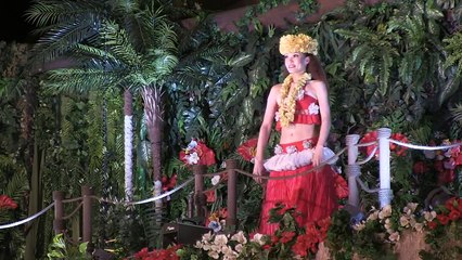 グランドポリネシアンショー「オハナこころひとつに」フラガール ～虹を～