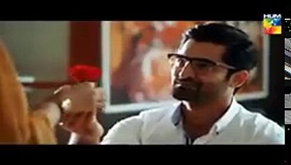 Mohabbat Khawab Safar Teaser HUM TV | Global Dramas