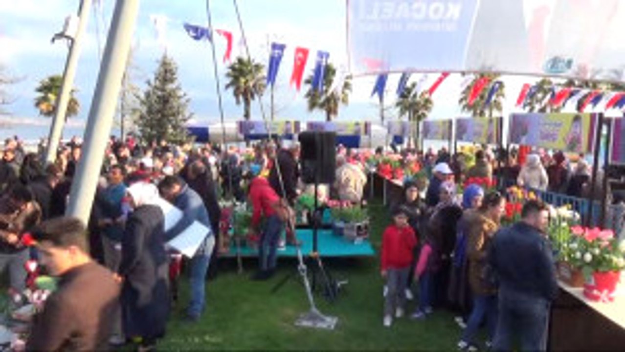 En Güzel Laleler Kocaeli'de Yarıştı