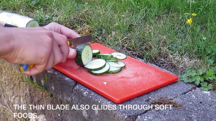 Utility Knife vs. EDC Knife