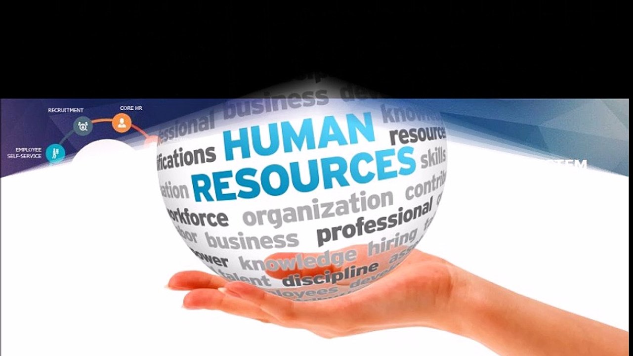 HRMS and Payroll Software UAE