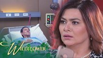 Wildflower: Emilia is shocked to know about Julio's status | EP 36