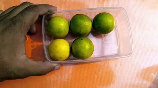 How to make a LEMON POWER BANK II Very Useful for SURVIVE II