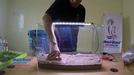 Tutorial Pembuatan Aquascape Untuk Pemula
