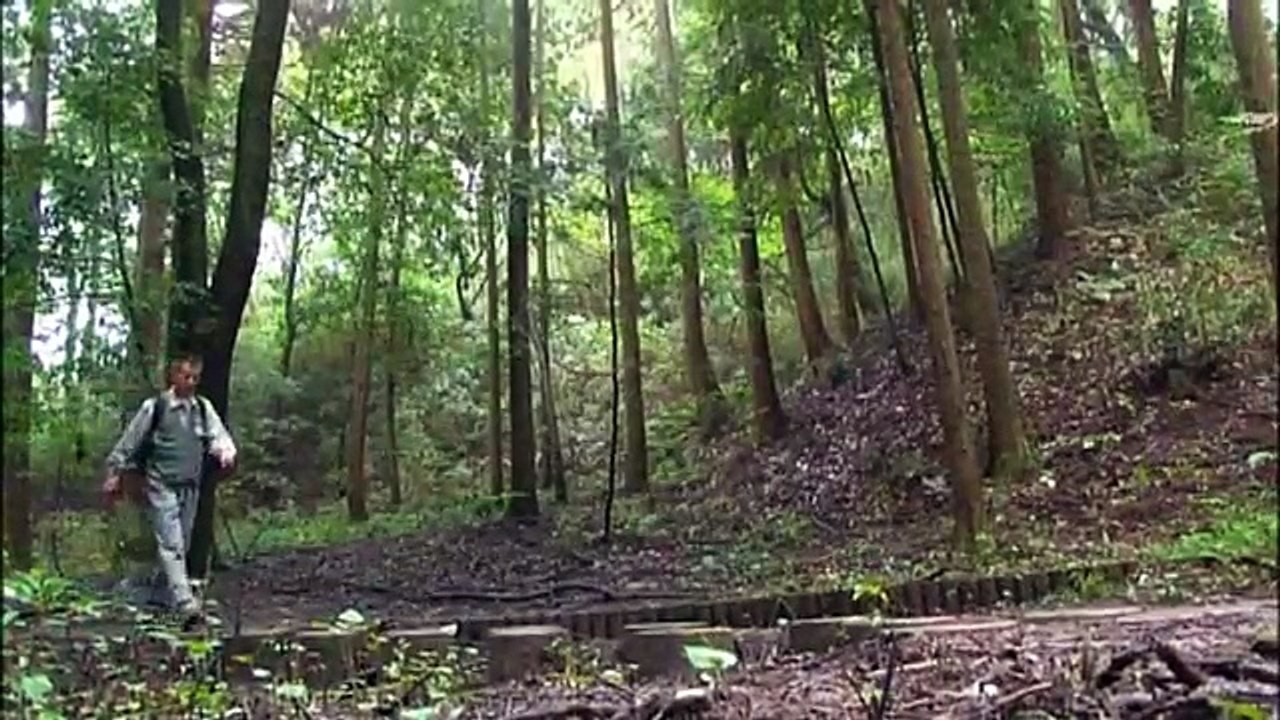 本当は聞きたくない！山の怖い話 その1   FC2 Video part 1/2