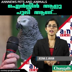 ഐന്‍സ്റ്റീന്‍ ആളു പുലി ആണ്...!!!!  #AnnNewsPets