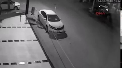 12 Tigers Attack A Car And Kills Brutally.