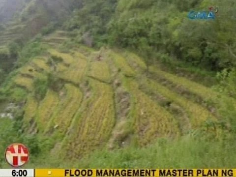 UB: Panibagong rice terraces, nadiskubre sa San Remigio, Antique