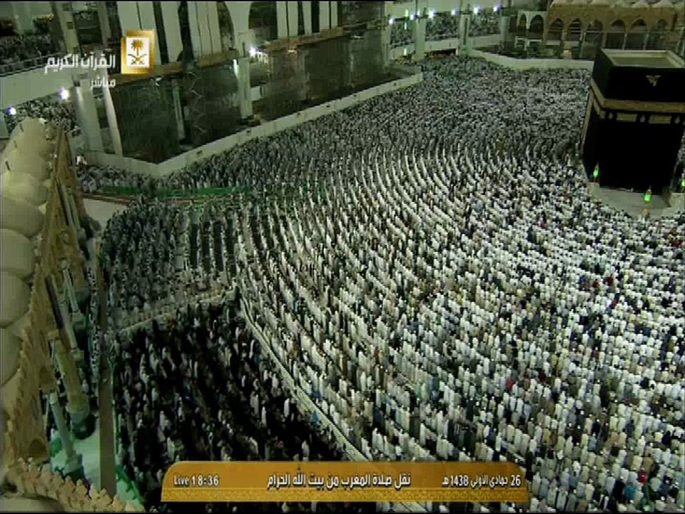 تلاوة رائعة للشيخ بندر بليلة - ولا تجادلوا أهل الكتاب إلا بالتي هي أحسن