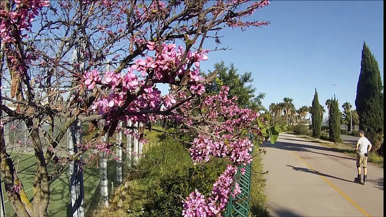 Spring chill sessions