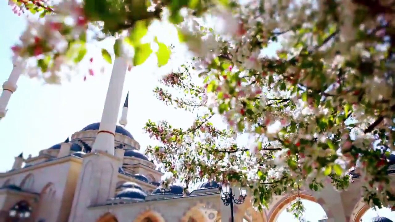 Mashallah-Beautiful Islamic Song In Arabic