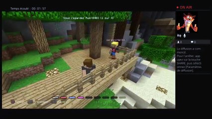 Minecraft Mini jeux (15)