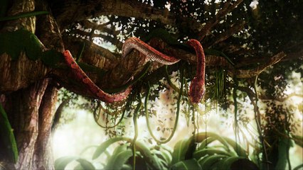 Cortinilla Telecinco - Supervivientes 2017 (1)