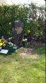 Un oiseau se pose sur la main d'une mère devant la tombe de son fils