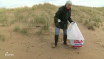 Environnement - Printemps : Nettoyage des plages en Vendée