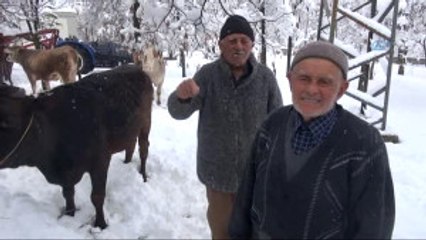 Kahramanmaraş'ta 200 Yıldır Süren Gelenek