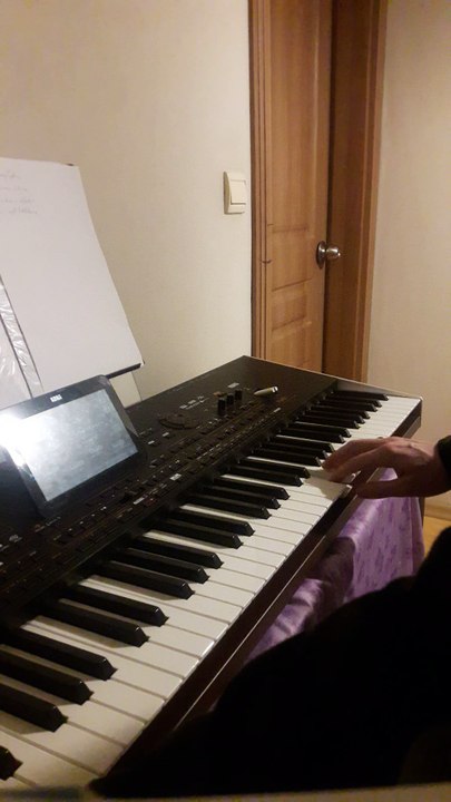 Caney Org Korg Pa 4x